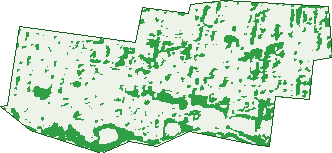 Where the trees are in Croydon Park