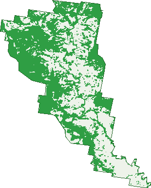 Where the trees are in Jiggi