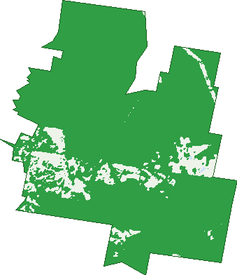 Where the trees are in Elrington
