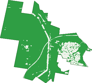 Where the trees are in West Wallsend