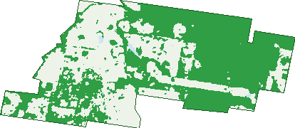 Where the trees are in Nulkaba