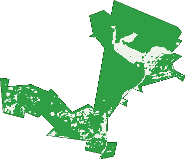 Where the trees are in New Lambton Heights