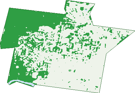 Where the trees are in Albury