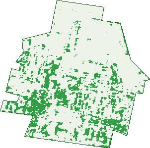Where the trees are in Caringbah