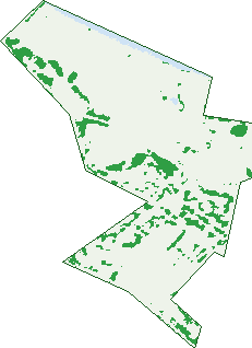 Where the trees are in Mayfield West