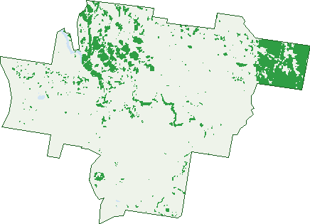 Where the trees are in Falconer