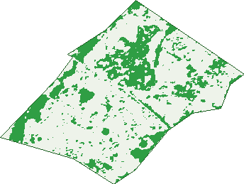 Where the trees are in Bonnyrigg