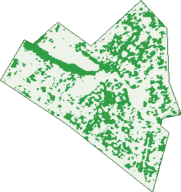 Where the trees are in Marayong