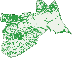 Where the trees are in Seven Hills