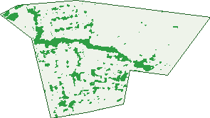 Where the trees are in Fairfield East