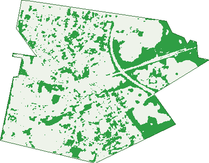 Where the trees are in Rooty Hill