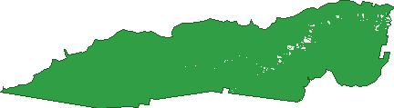 Where the trees are in Kalang