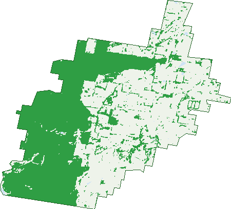Where the trees are in Springside