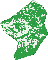 Where the trees are in Hackett