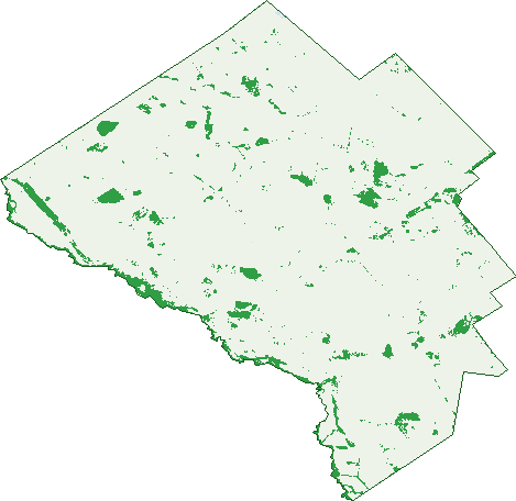 Where the trees are in Dandaloo