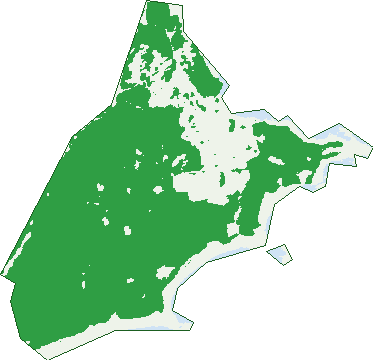 Where the trees are in Norah Head