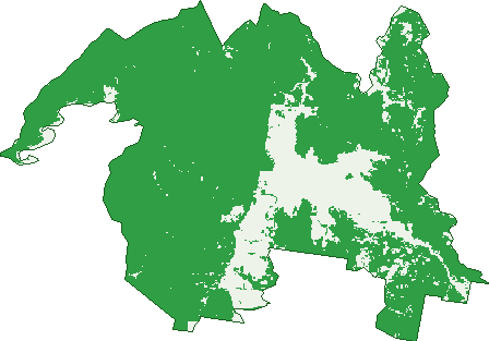 Where the trees are in Yaouk