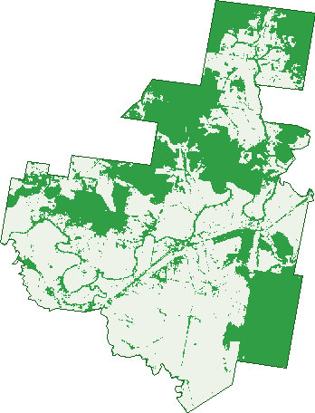 Where the trees are in Ballimore