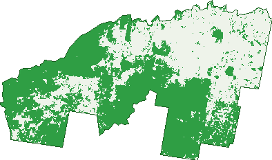 Where the trees are in Briarbrook