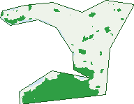 Where the trees are in Marks Point