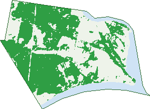 Where the trees are in Blackmans Point