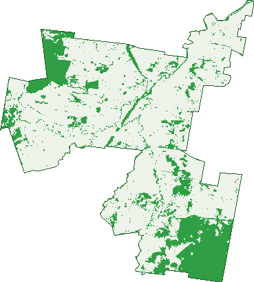 Where the trees are in Toongi