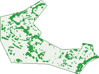 Where the trees are in Richardson