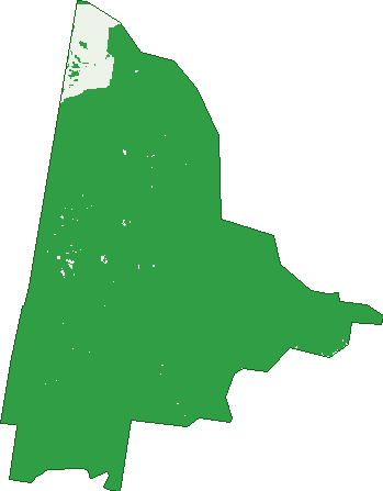 Where the trees are in Boondandilla