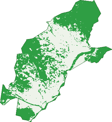Where the trees are in Mingoola