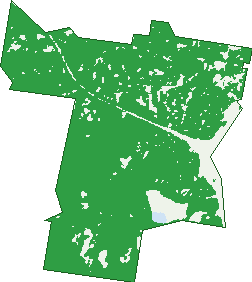 Where the trees are in Tanawha