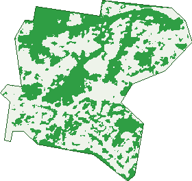 Where the trees are in Everton Hills