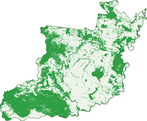 Where the trees are in Lochington