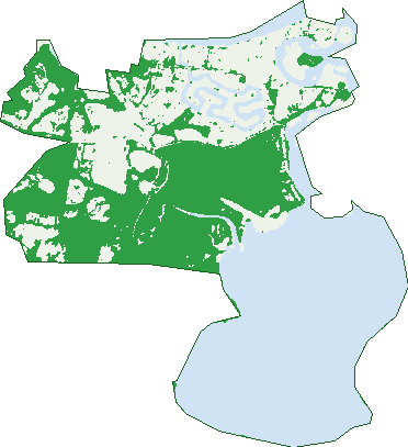 Where the trees are in Noosaville