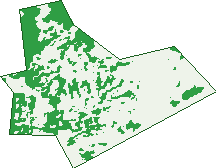 Where the trees are in Macarthur