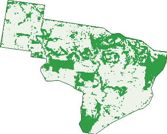 Where the trees are in Doctor Creek