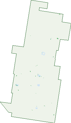 Where the trees are in Bongeen