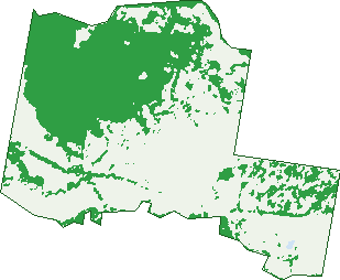 Where the trees are in St Aubyn