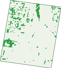 Where the trees are in Toowoomba City