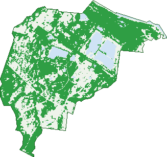 Where the trees are in Yabulu