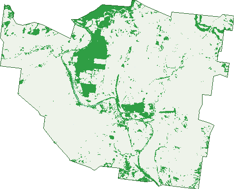 Where the trees are in Mitchell