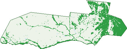 Where the trees are in Wyuna