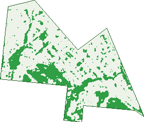 Where the trees are in Wulguru