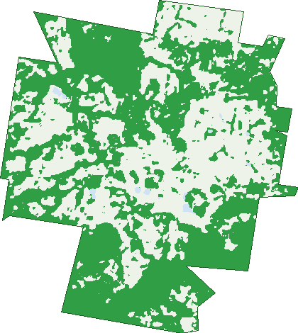 Where the trees are in Dulong