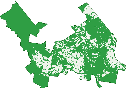 Where the trees are in Wolvi