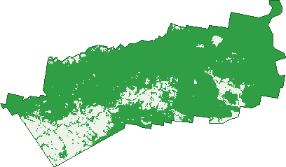 Where the trees are in Swanfels