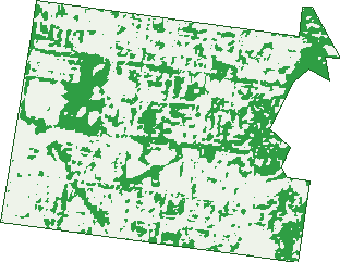 Where the trees are in East Toowoomba