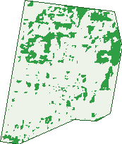 Where the trees are in Rockville