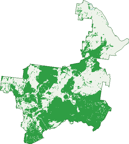 Where the trees are in Marlborough
