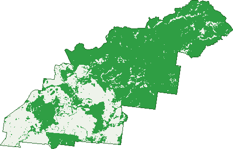 Where the trees are in Upper Warrego