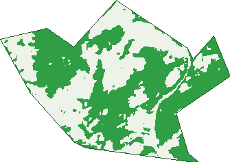 Where the trees are in Mount Kynoch